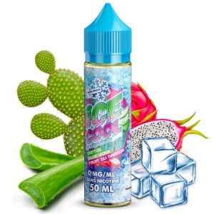 Cactus Aloe vera Fruit du dragon