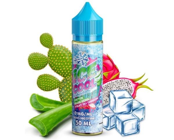 Cactus Aloe vera Fruit du dragon