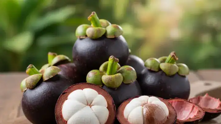 Mangoustan à coque violette ouvert montrant ses quartiers blancs fondants.